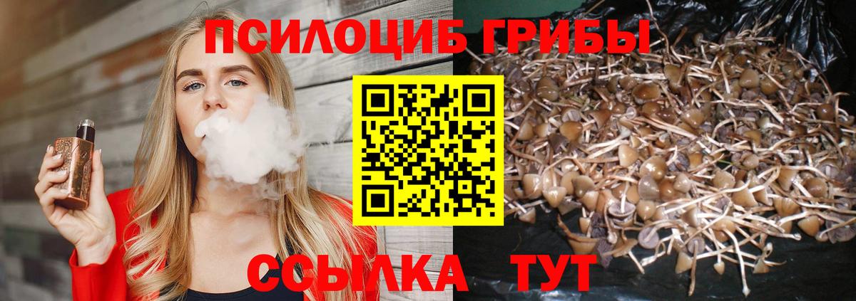 Галлюциногенные грибы Psilocybe Зерноград