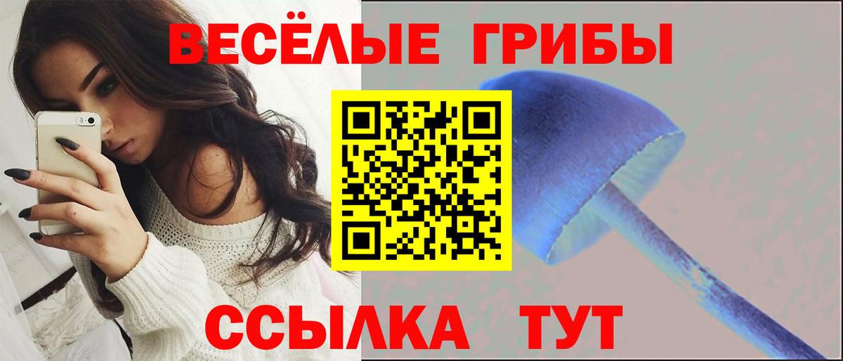 Псилоцибиновые грибы мухоморы  как найти закладки  Зерноград  Вход с VPN  Псилоцибиновые грибы Magic Shrooms 